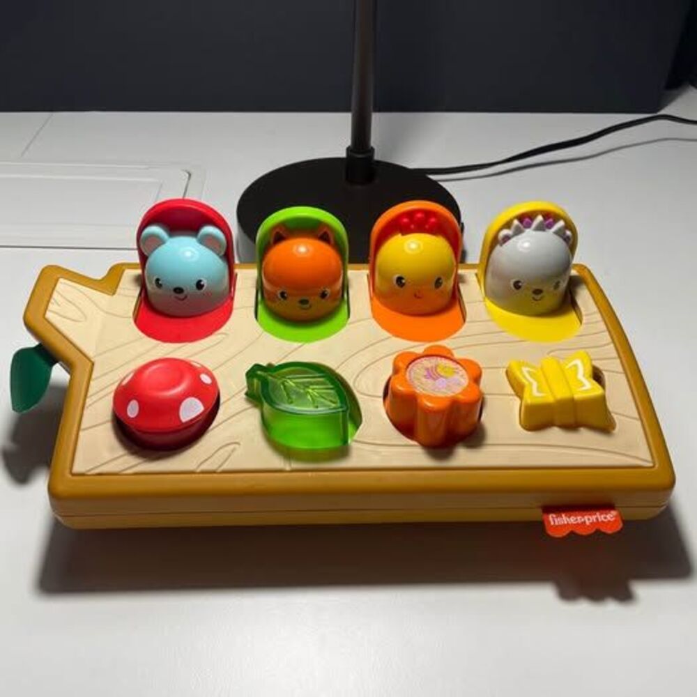 Fisher-Price Hide & Peek Pop-Up Woodland Animals Activity Toy